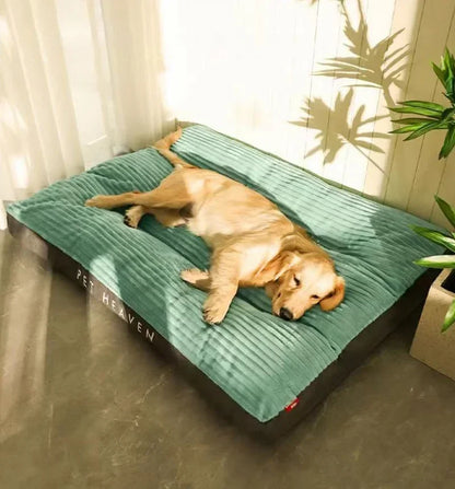 Tapis Pet Heaven