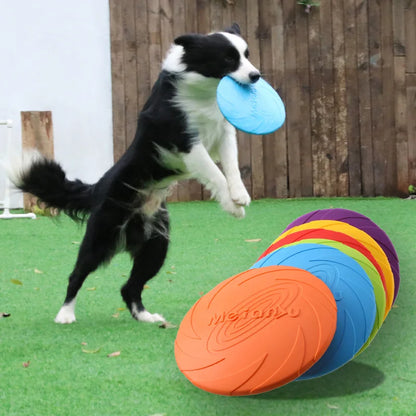 Frisbee